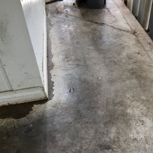 Meet your Posher, Terry